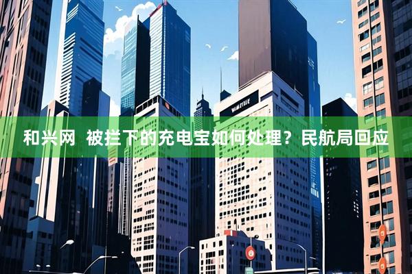 和兴网  被拦下的充电宝如何处理？民航局回应