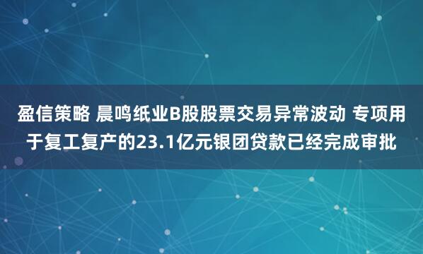 盈信策略 晨鸣纸业B股股票交易异常波动 专项用于复工复产的23.1亿元银团贷款已经完成审批