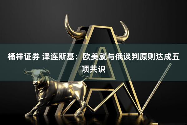 桶祥证券 泽连斯基：欧美就与俄谈判原则达成五项共识